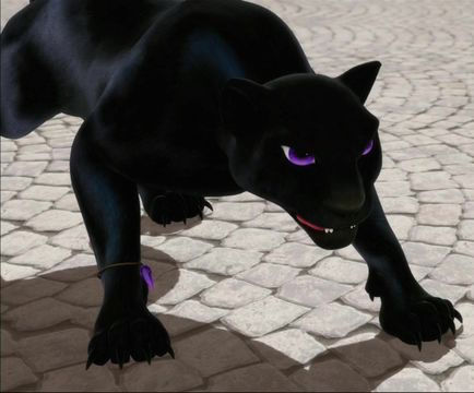 16 Animan
