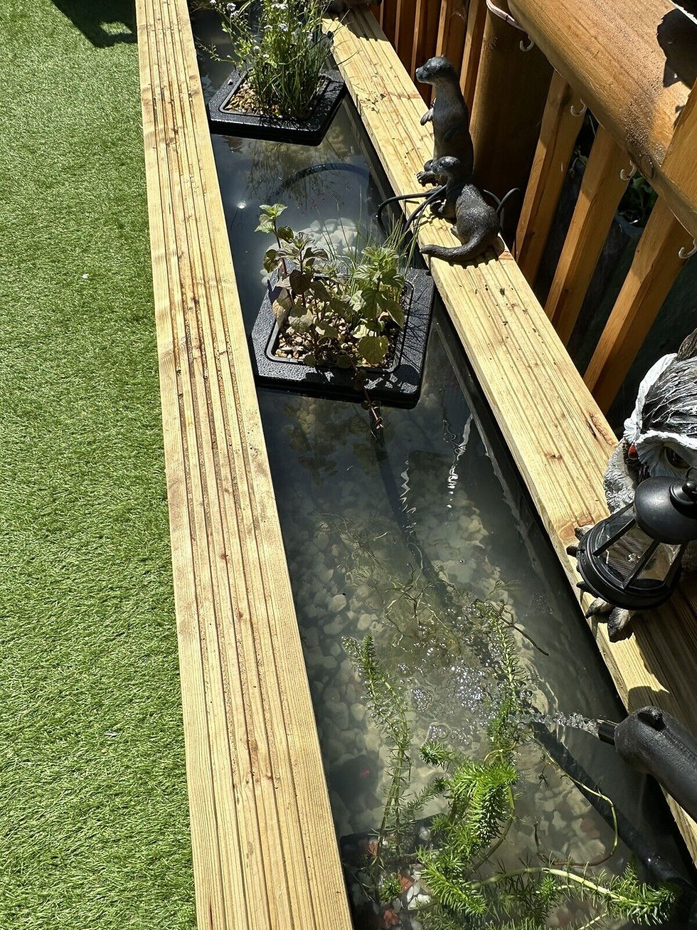 Thumbnail: long and slim garden pond with fish and aquatic plants