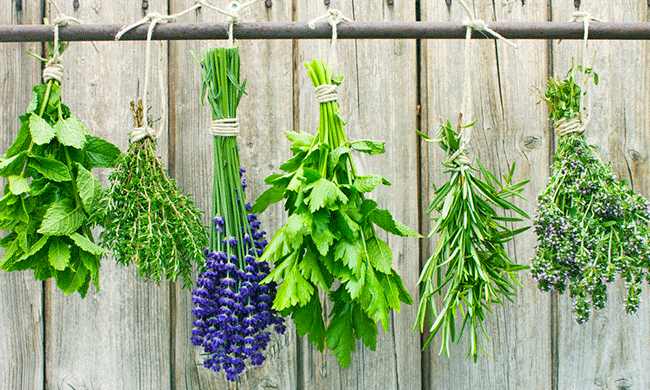 RUHUNDA MEDICAL REMEDY .gif