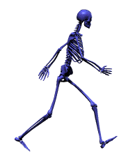 animation-skeleton2.gif