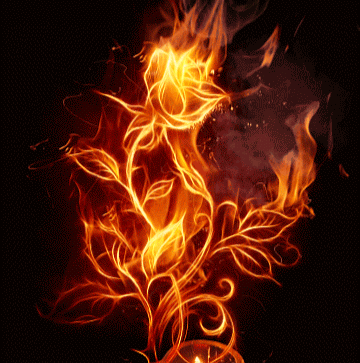 5a8c1338302de36e78dfd21256394911.gif