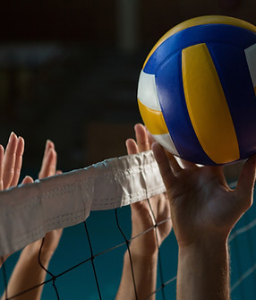 Above the Net