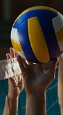 Above the Net