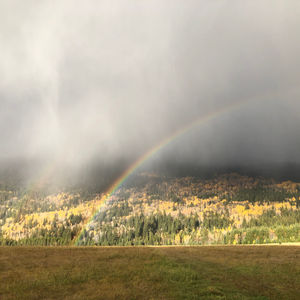 Regenerative Farming, Biodynamic Certification and Organics