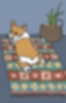Corgi