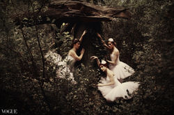 VOGUE 3 Sleeping swans