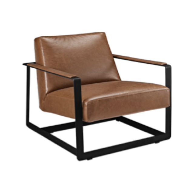 Brady Arm Chair $100