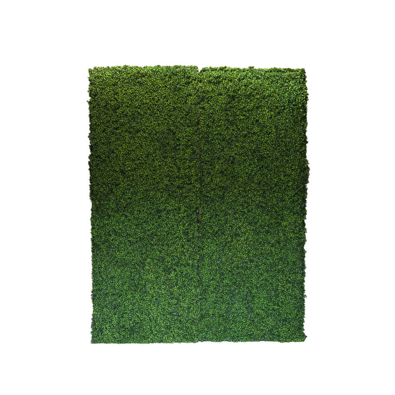 Boxwood Hedge Wal