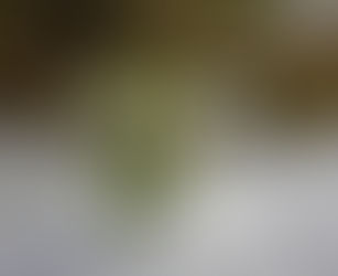 Newsletter Février 2026