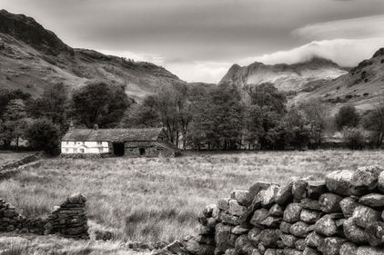 IMG_3057-1.jpeg