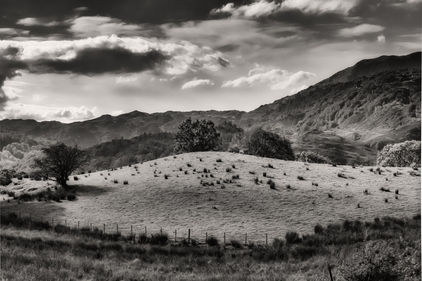 IMG_3598-1.jpeg