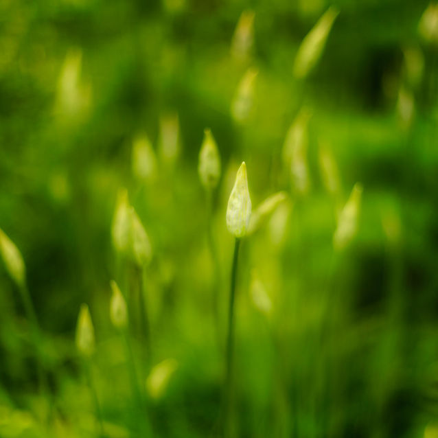 IMG_7271-1.jpeg