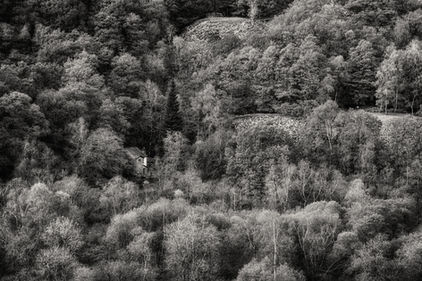 IMG_3269-1.jpeg