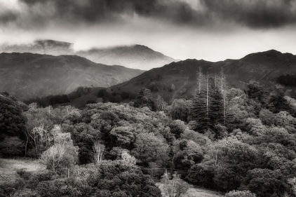 IMG_3580-1.jpeg