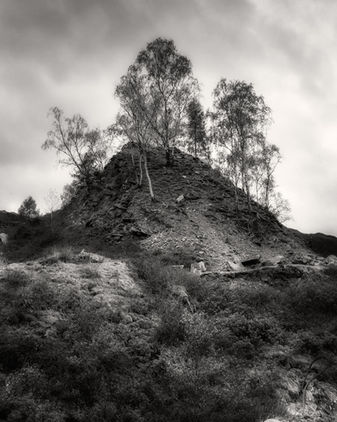 IMG_4001-1-1.jpeg