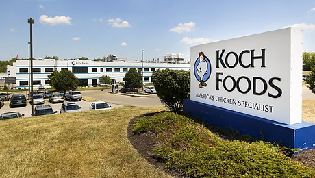 koch-foods