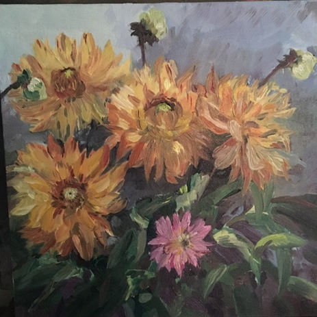 Dahlias 2016.JPG