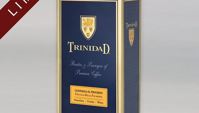 GUATEMALA EL PROGRESO - Finca La Bella Pacamara