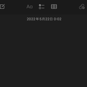月の裏側 ポーティス