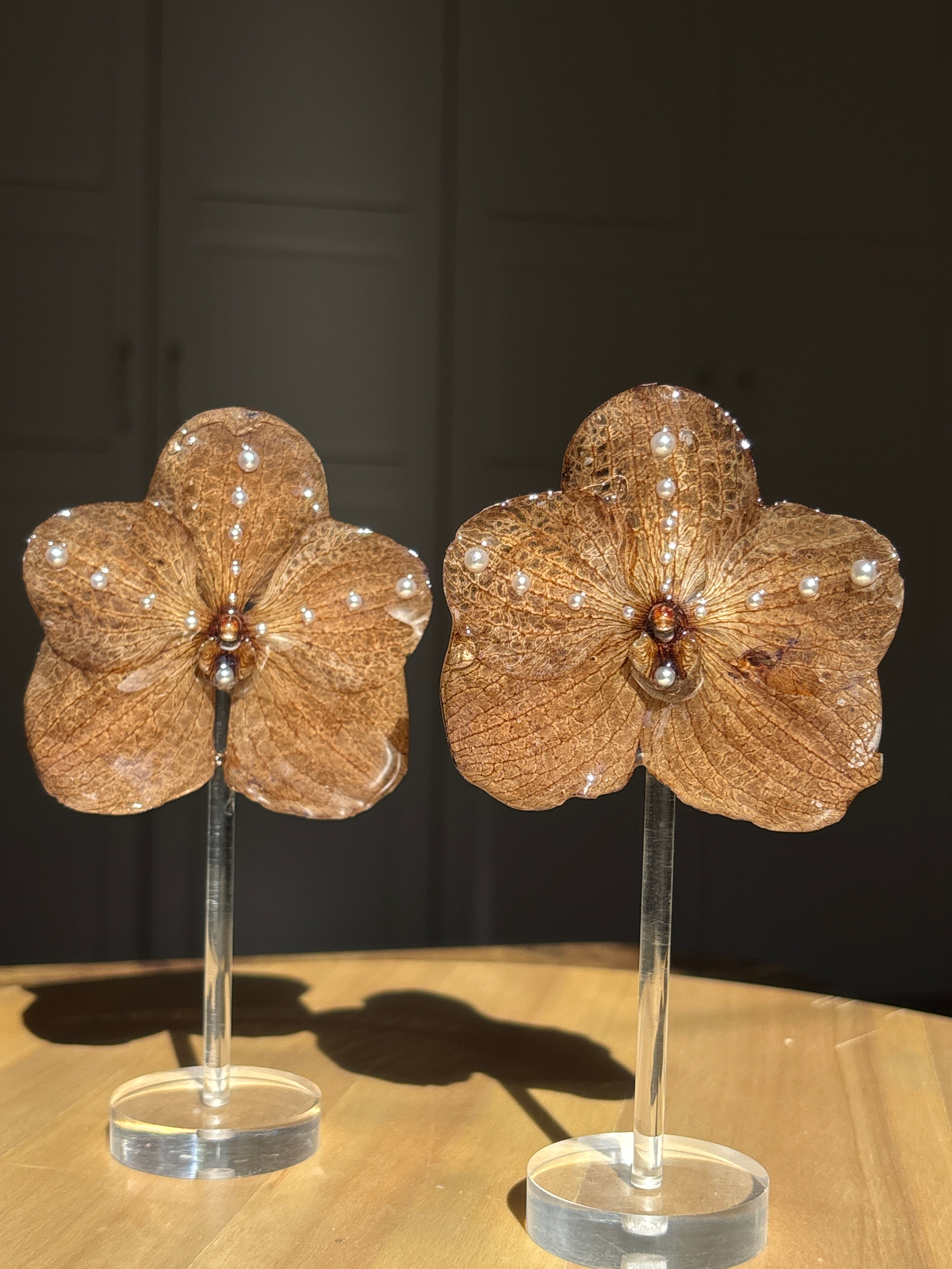 Vanda Orchids and pearls Earrings