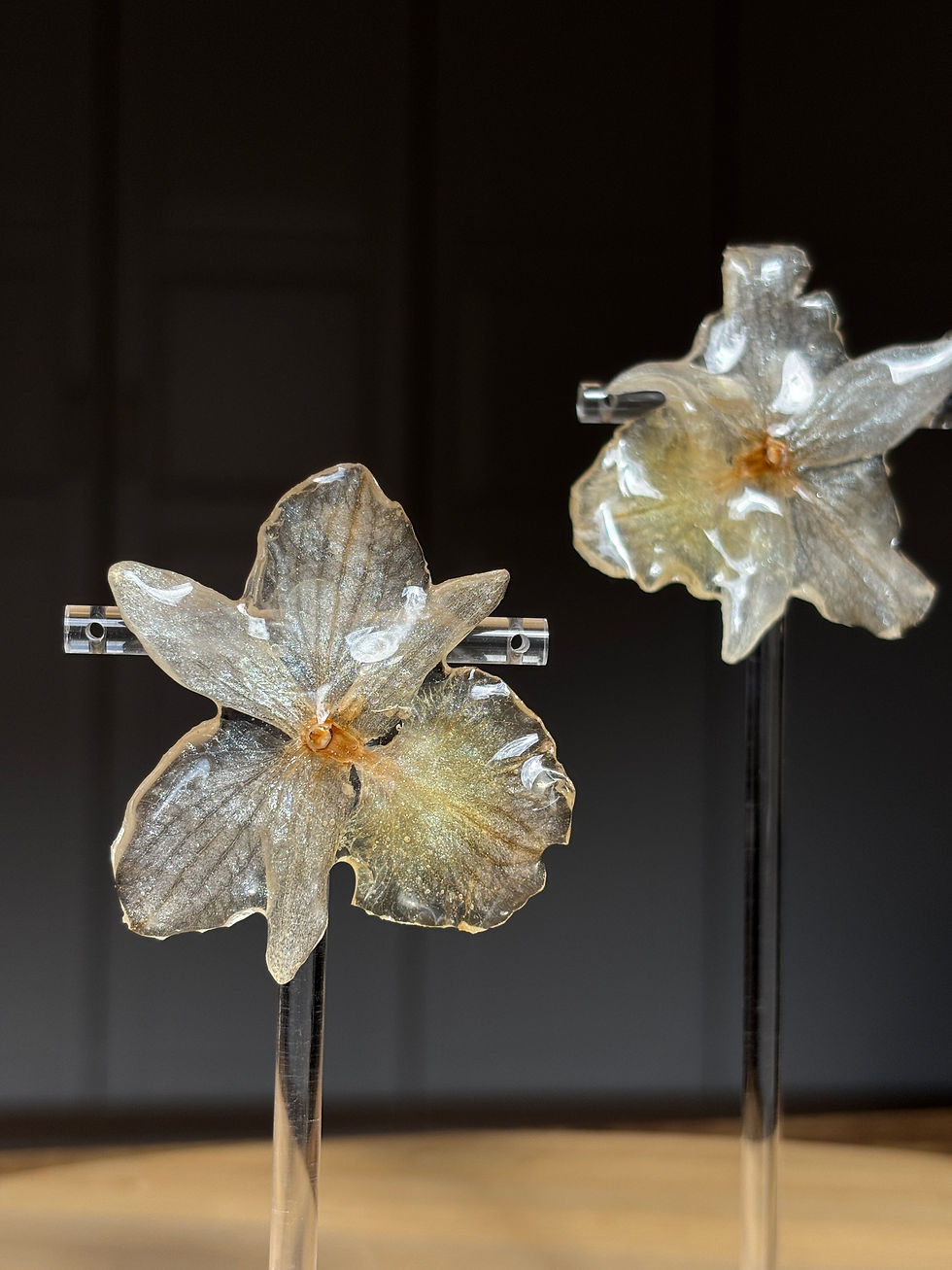 Miniatura: Dendrobium Chromed Orchids  Earrings