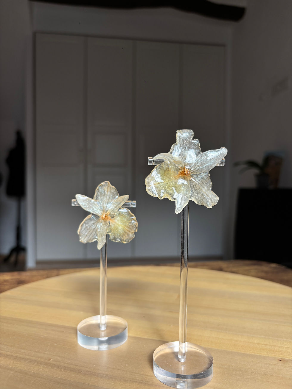 Miniatura: Dendrobium Chromed Orchids  Earrings