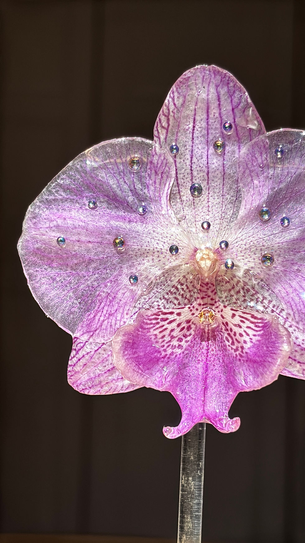 Miniatura: Pink Orchids and gems Earrings