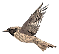 dove_edited.png