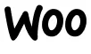 woo_commerce_98593f480d.webp