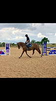 Equi-Trade Logo-2.jpg