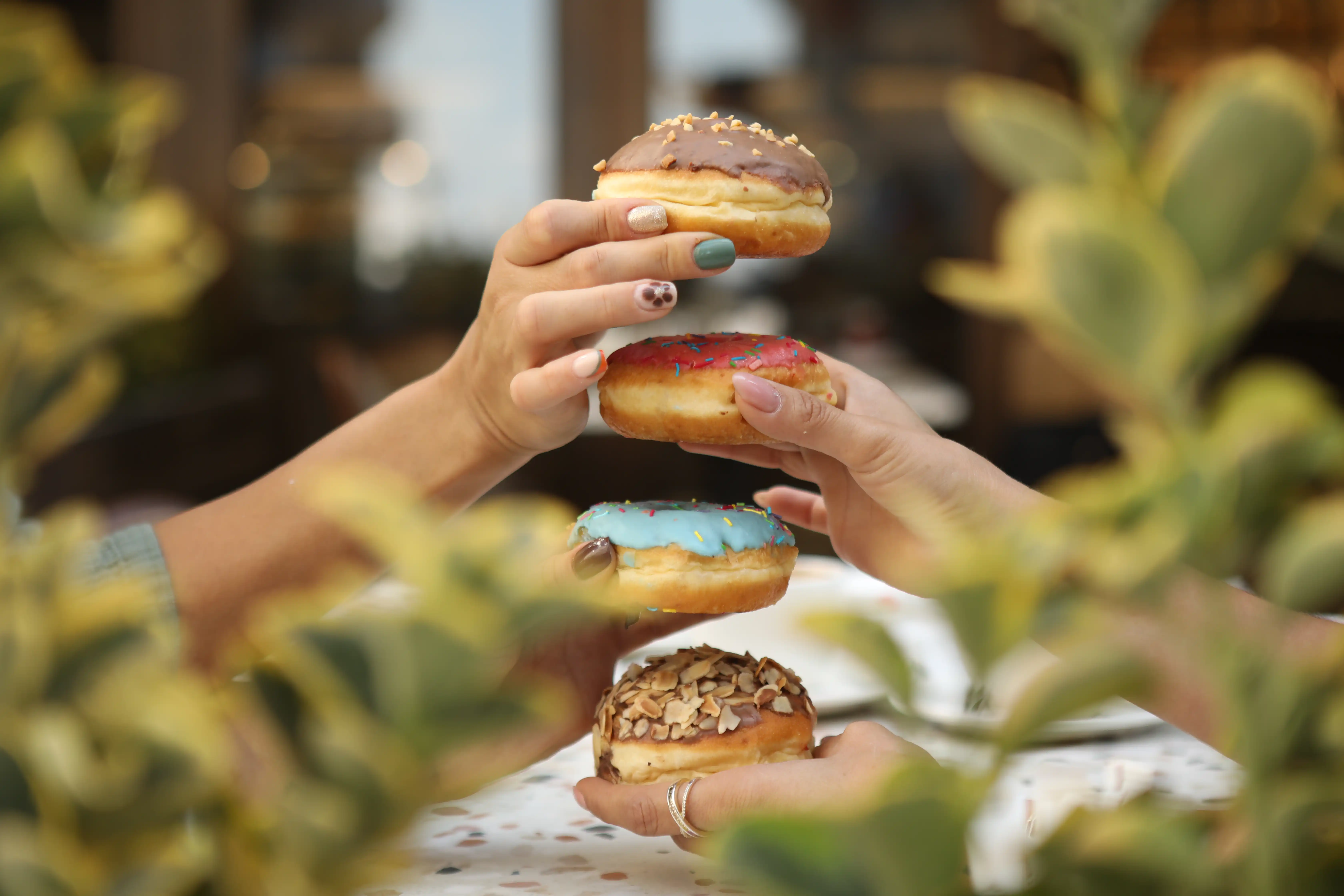 Atadan Fırın Çeşit Donut