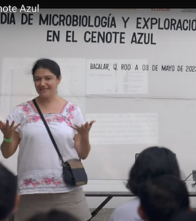 Screenshot 2025-04-14 at 14.21.05.png