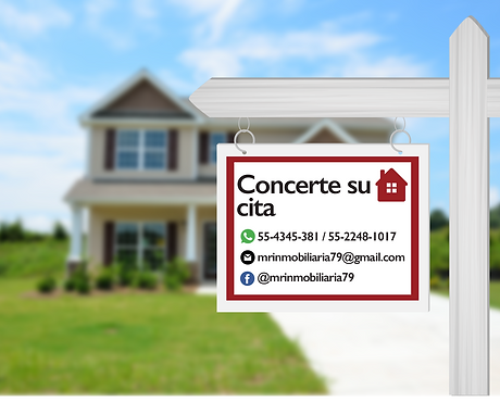 concerte2.png