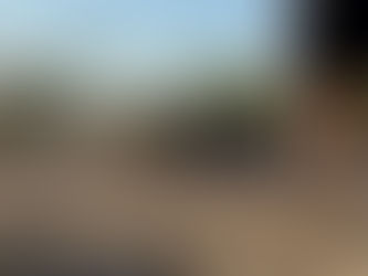 Dani Abbott Collecting Desert Soil