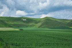 VPV Alton Barnes White Horse 960x640