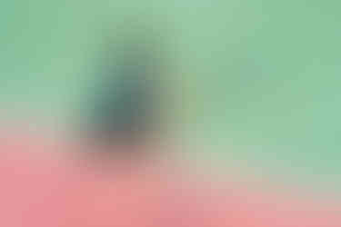 Kurt Bonnici Asciak Tennis Academy