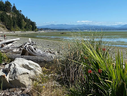 PH BEACH Barnum Point (1).jpeg