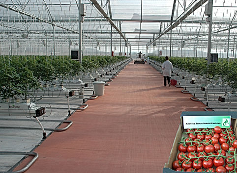 АО «ДЕНИЗ Сера ве Мюхендислик А.Ш.»