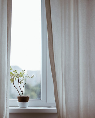 Window with Plant