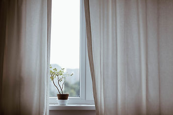 Window with Plant