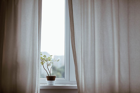 Window with Plant