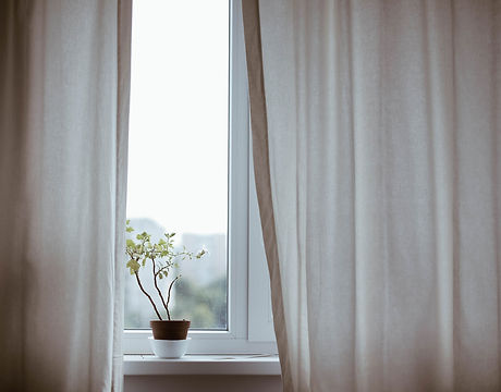Window with Plant