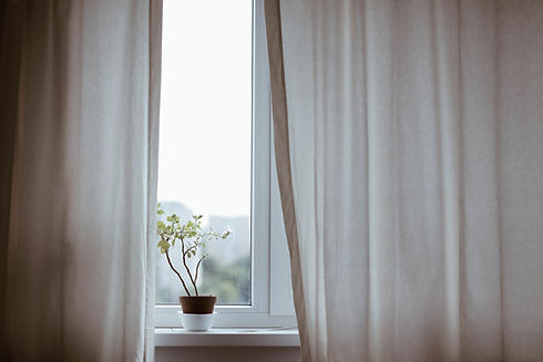 Window with Plant