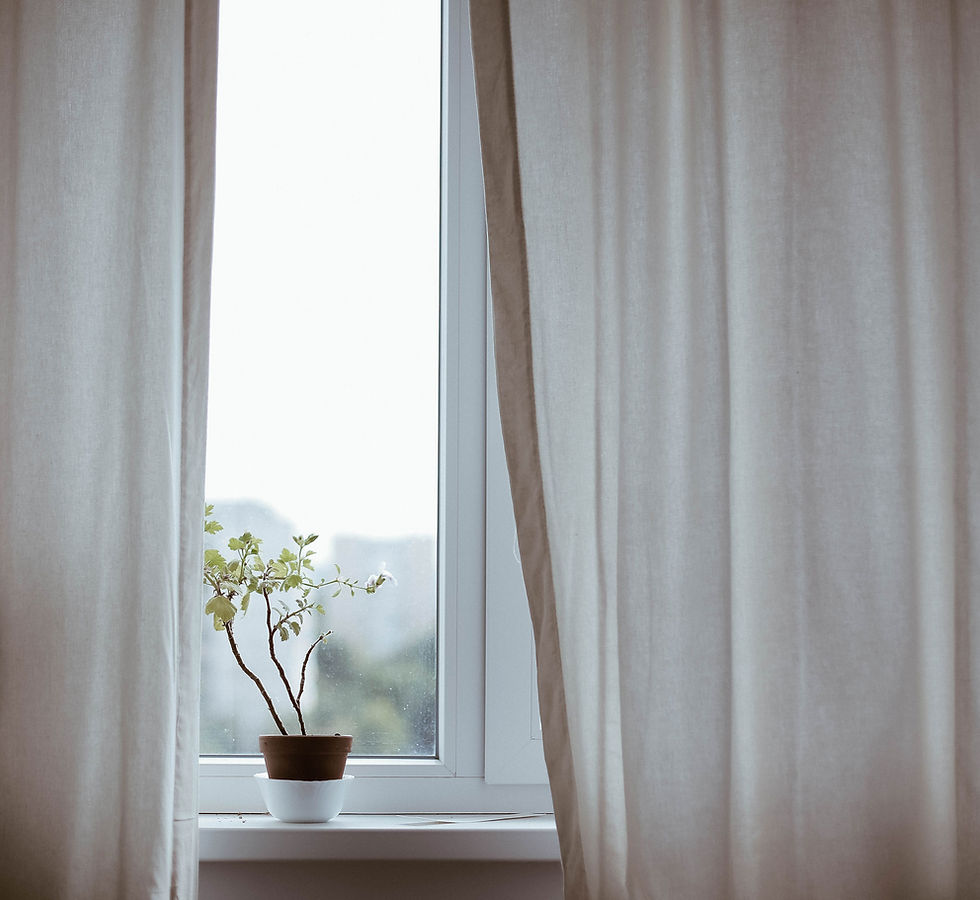 Window with Plant