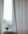 Window with Plant