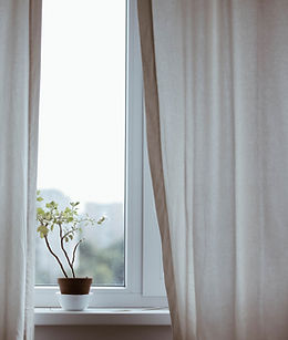 Window with Plant