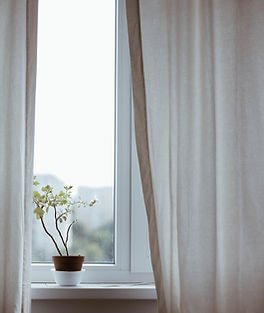 Window with Plant