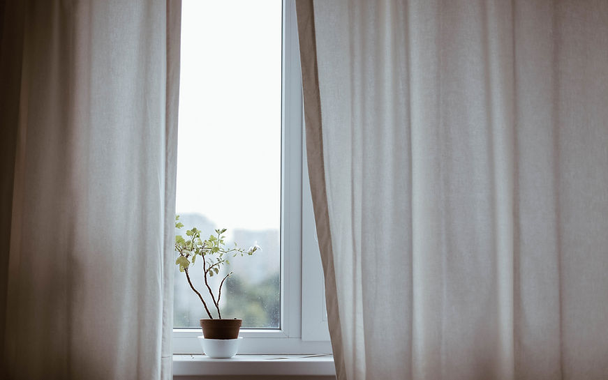 Window with Plant