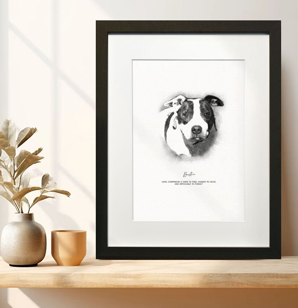 Thumbnail: Classic Black and White Pet Portrait Illustration