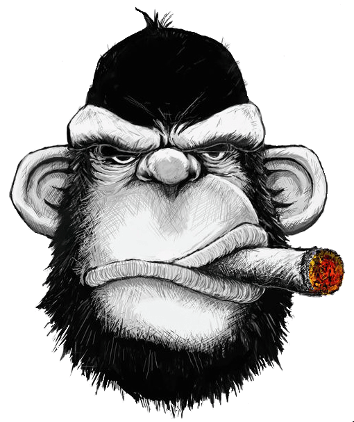third-monkey-face.gif